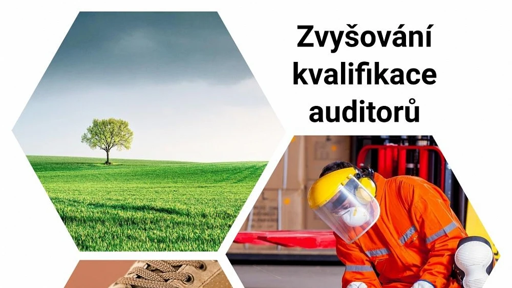 Zvyšování kvalifikace auditorů